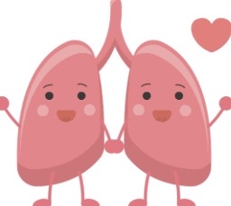 Akciğerler